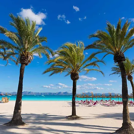 Oiza Lux At Alcudia * Port de Alcudia (Mallorca)